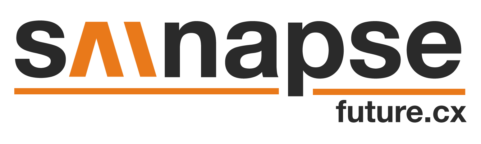 Sainapse-Logo